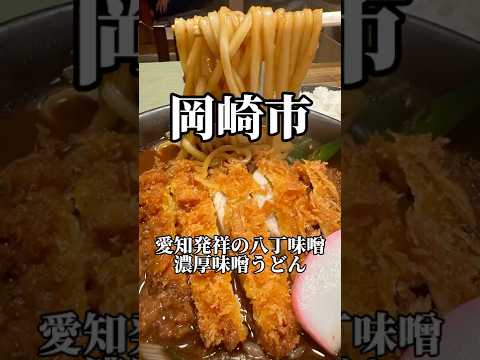 愛知の食文化は八丁味噌🤎　一よし　#愛知グルメ #うどん #japanesefood #aichifood