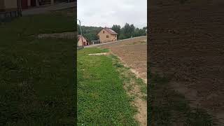 dla monika Tokarska