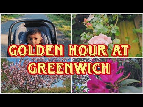 "Golden hour at Greenwich –greenwich park walk, pure peace and pretty views."| thaksha vlogs