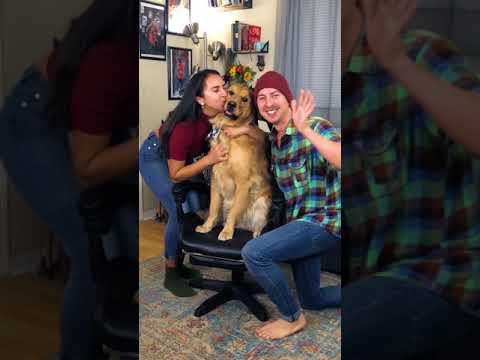 Seasons Greetings! (Zach King Featured) #Shorts