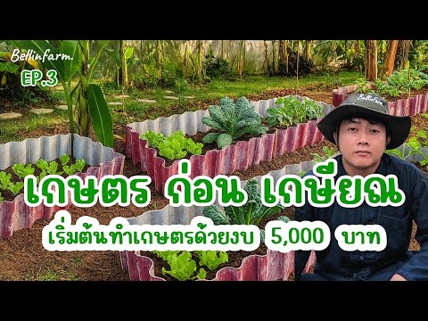 Ep.3 เกษตรก่อนเกษียณ | เริ่มต้นด้วยงบ 5,000 และการวางแผนพื้นที่ #เกษตรก่อนเกษียณ #ใช้ชีวิตก่อนเกษียณ
