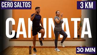 ejercicios para abdomen y cintura de pie 🔥 caminata INTENSA en interiores sin saltos 3 km