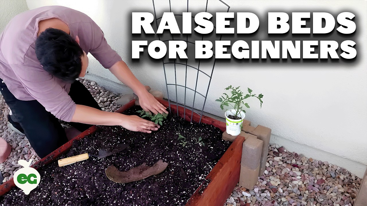 Raised Bed Gardens for Beginners - Planning, Soil Mix, and Planting Guide