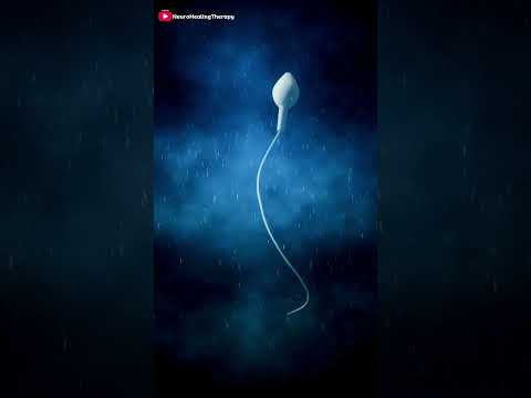 Baby Concieve Tips #viral #shorts #pregnancy