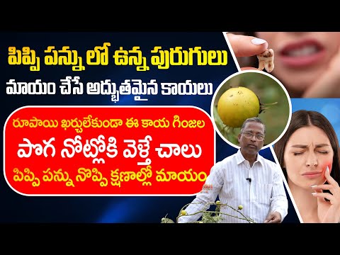 ఈ కాయలతో పన్ను నొప్పి క్షణాల్లో మాయం  | Natural Toothache Remedies That Actually Work