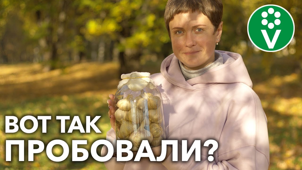 Храните чеснок только так, и он останется свежим до самой весны!