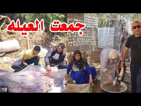 البعل جمع الحريم وقال لازم انضف الرجول بنفسي وجزارين المنصوره عملوا من لحم الدبيحه كله استيك