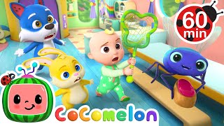 Fly and Mighty | CoComelon Animal Time | Animal Nursery Rhymes