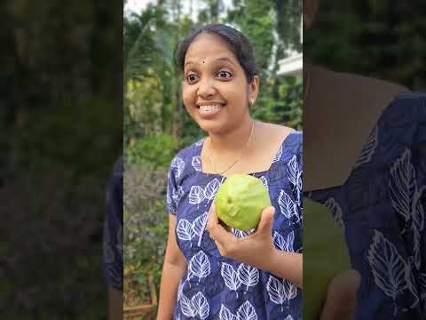 Survival Skills:SIMPLE andUSEFUL#bushcraft#camping#outdoors