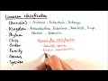 Classification and Nomenclature of Organisms