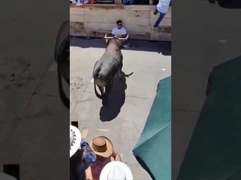 🔝💯 VIDEO de TOROS 🔝💯.