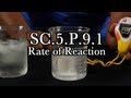 Temperature Effects on Reaction Rates