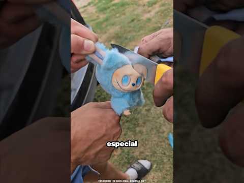 Encontraron un regalo valioso dentro del peluche 😮 #shorts