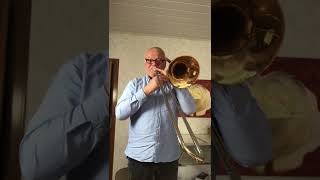 Impossible Year by Panic! at the Disco for Trombone