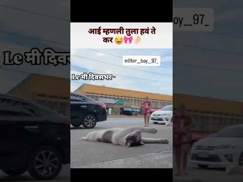 आई म्हणाली..!!😿😿😹 #bappa #comedy #funny #india #bappamorya #love #memes #maharashtra #jokes