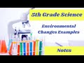 Environmental Changes and Ecosystem Impacts