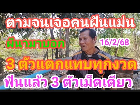 ตามจนเจอพ่ออ้อยฝันแม่นผีนามาบอก3 ตัวแตกแทบทุกงวดฟันแล้วงวดนี้ห้ามพลาด