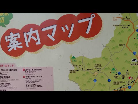 ON ドリア　シチューorヒラメ