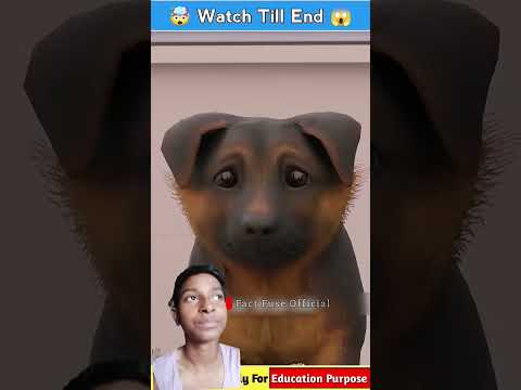 Dogs breeds with Tail Docking #facts #3danimation #animals #pets #science #cartoon #dogs