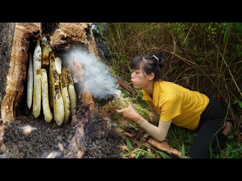 Harvesting honeycomb with billions of bees - Brave girl harvests bees and brings them home to raise