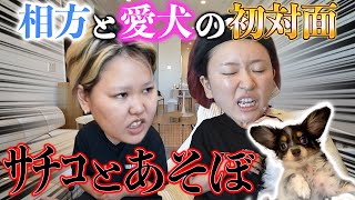 動画サムネイル