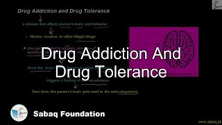 Drug Addiction And Drug Tolerance