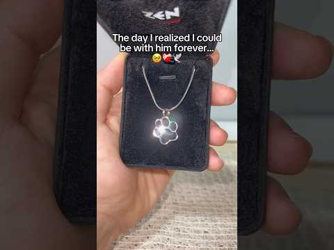 He’ll always be with me now 🥹🥰 #dogsofyoutube #petloss