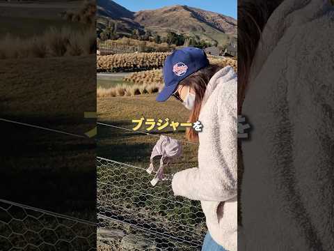 ブラジャーの聖地！？