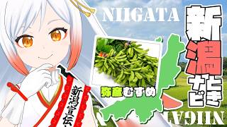 【新潟グルメ】えだまめ県ニイガタのはじまりだッ‼✨新潟グルメ情報をお届け🕊ときナビ【Vtuber越後屋ときな🌾勝手に新潟宣伝大使】#pr