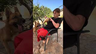 Dieser Hund bricht mein Herz 💔 Ajucan Mallorca Hundehilfe