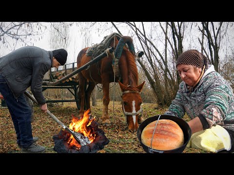 Grandpa and Grandma's Fascinating Journey | Outdoor Bread Baking | Grilled potato and chicken