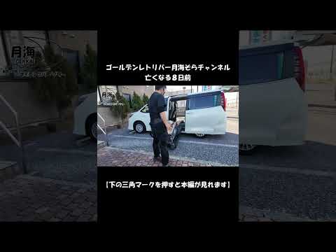 亡くなる８日前【Golden Retriever japan】♯Shorts #介護 #病気