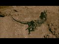 Fossilization and Paleontology Concepts