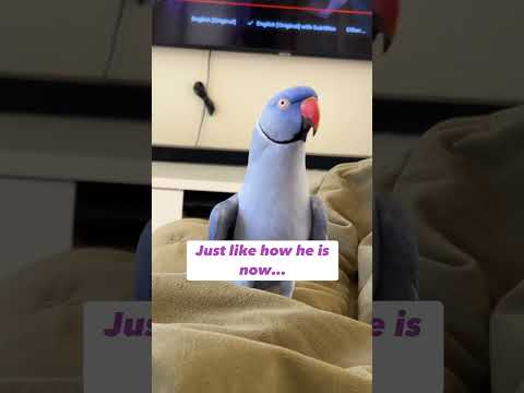 He checks in on me!