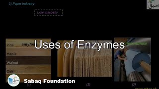 Uses of Enzymes