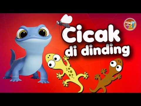 Kumpulan Lagu Anak Indonesia | Kompilasi Lagu | Cicak Cicak di Dinding - Lagu Anak Indonesia Populer