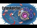 Understanding the Cytoskeleton