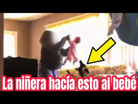 "SU NIÑERA PARECÍA PERFECTA… HASTA QUE SU PERRO REVELÓ LA TERRIBLE VERDAD 😨🐶"