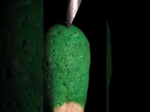 Match and Needle in Slow Motion