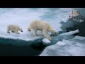 Geopolitical Impacts of Climate Change in the Arctic