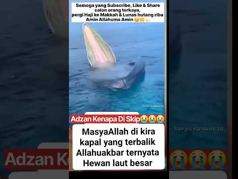 Ya Allah🥺🤲 #fyp #trending #shorts #foryou #viralvideo #beranda #masukberanda #shortsfeed #story #fyp