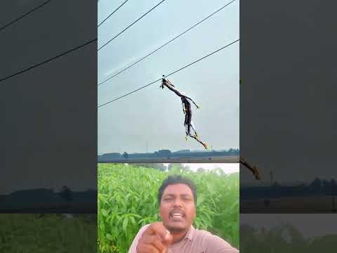 Dragon #funny #comedymove #comedyfilms #interestingclips #comedymovies #duet #funnycomedy