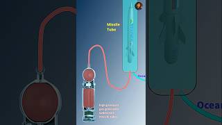 Submarine Rocket Launch Under Water #submarine #navy #rocket