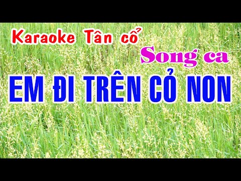 Karaoke tân cổ EM ĐI TRÊN CỎ NON – SONG CA [Thanh Sang – Lệ Thủy