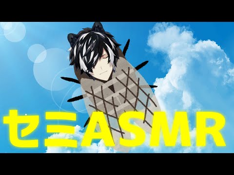 【ASMR】ミ”ーーーーーーーーーーーン”ミ”ン”ミ”ン”ミ”ン”ミ”ン”【影山シエン】
