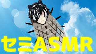 【ASMR】ミ”ーーーーーーーーーーーン”ミ”ン”ミ”ン”ミ”ン”ミ”ン”【影山シエン】