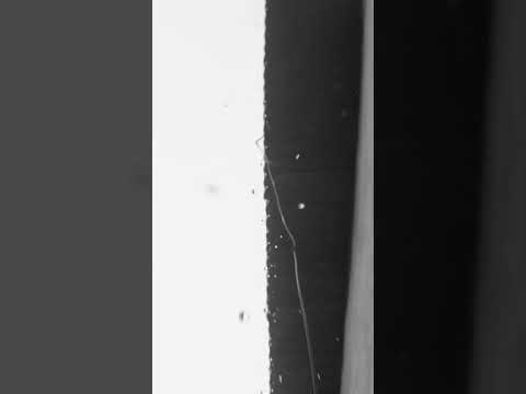 #<strong>비</strong> #<strong>rain</strong>