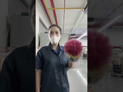 ngày 20 tháng 10, 2025