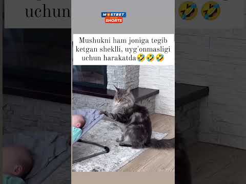 SHUNAQA MUSHU KERE BÓLYABDI 😅👍❤ #music #song #remix #love #keşfet #mp3 #comedydance #rek #mp36