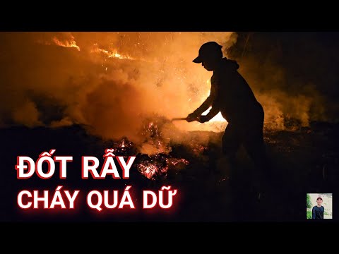 Cháy Lớn Lúc Nửa Đêm Diện Tích Lớn Độc Lạ Công Việc Đốt Rẫy | EM QUÍ MIỀN TRUNG